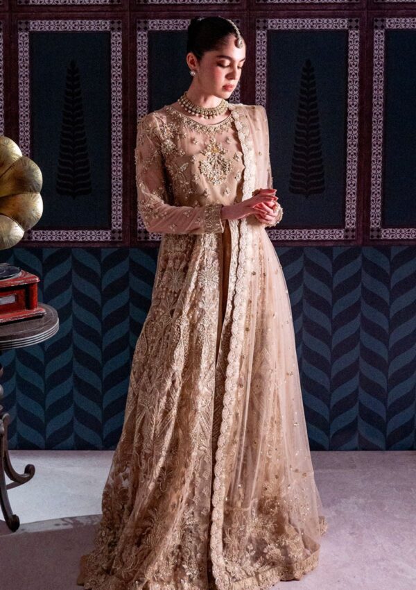 Neeshay Wedding Formals 24 D 7 Formal Collection