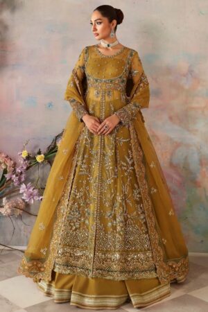 Akbar Aslam Sierra Formal Collection