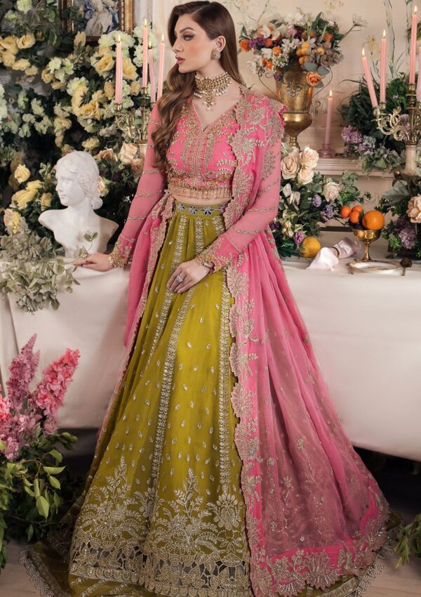 Saad Shaikh Taskheer Formal Collection