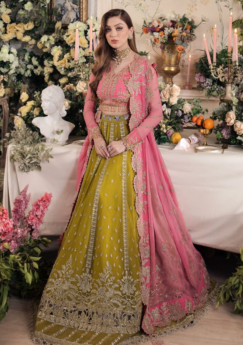 Saad Shaikh Taskheer Formal Collection