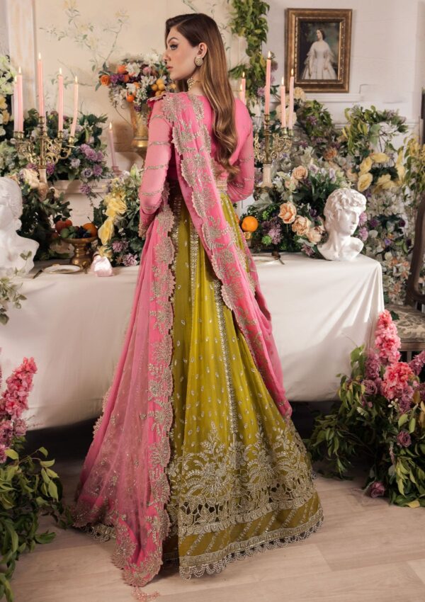 Saad Shaikh Taskheer Formal Collection