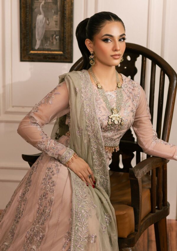 Zarif Iz24 01 Divaan Formal Collection