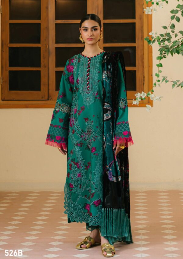 Bin Ilyas Bio24 526 B Winter Collection