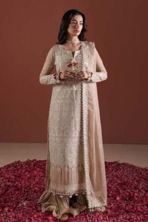 Zarqash Festive Chiffon Zq24 5b Formal Collection