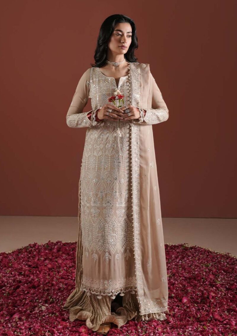 Zarqash Festive Chiffon Zq24 5b Formal Collection