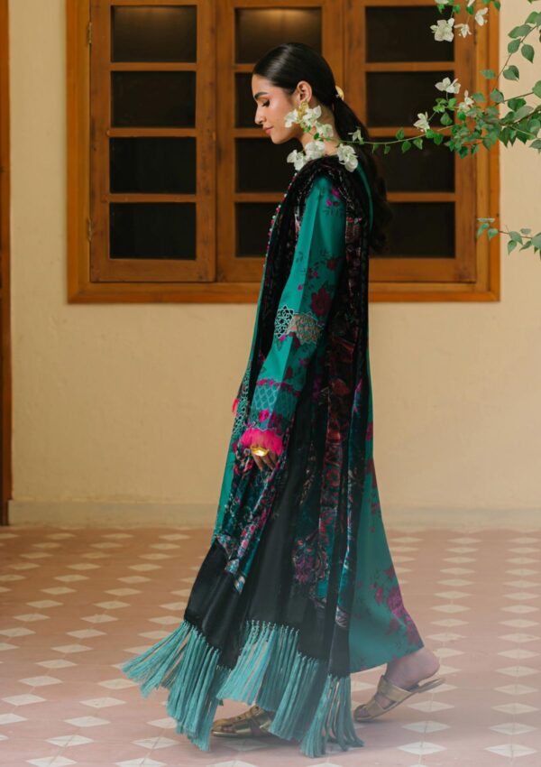 Bin Ilyas Bio24 526 B Winter Collection