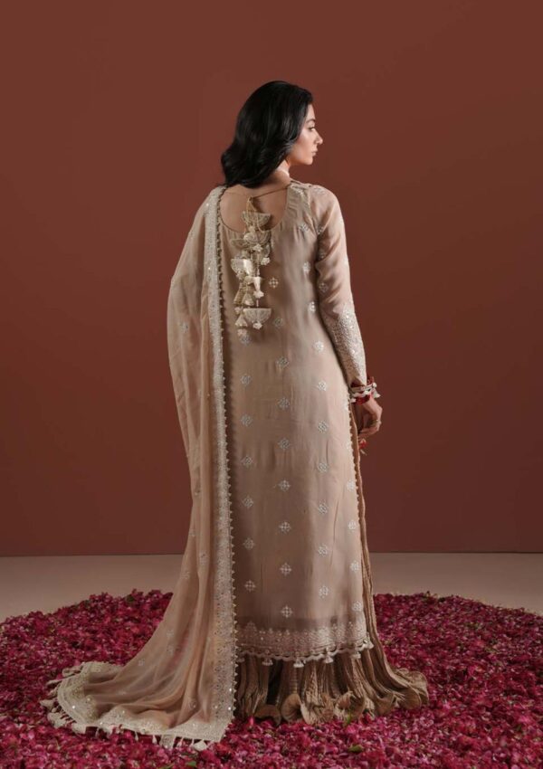 Zarqash Festive Chiffon Zq24 5B Formal Collection