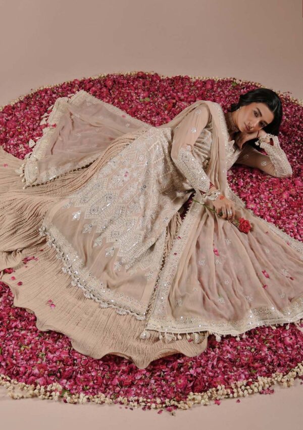 Zarqash Festive Chiffon Zq24 5B Formal Collection