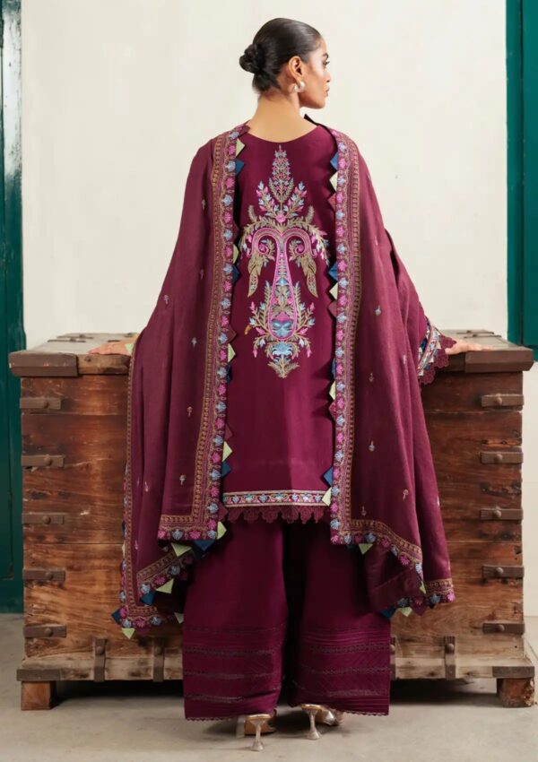 Bin Ilyas D 54 A Winter Collection