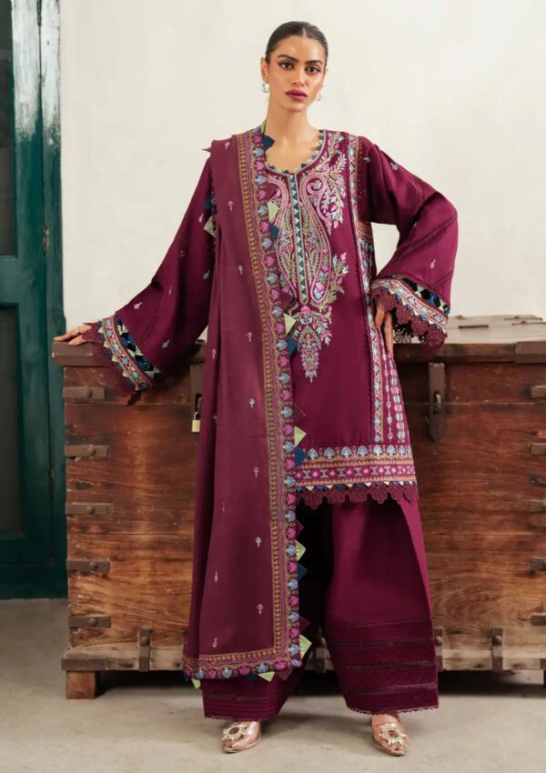 Bin Ilyas D 54 A Winter Collection