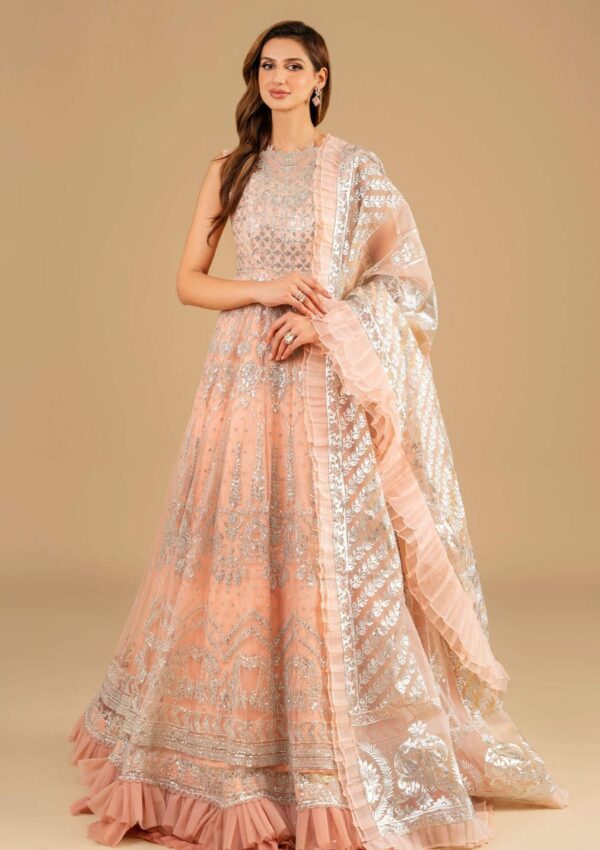 Asifa &Amp; Nabeel Festive Anb 6 Formal Collection