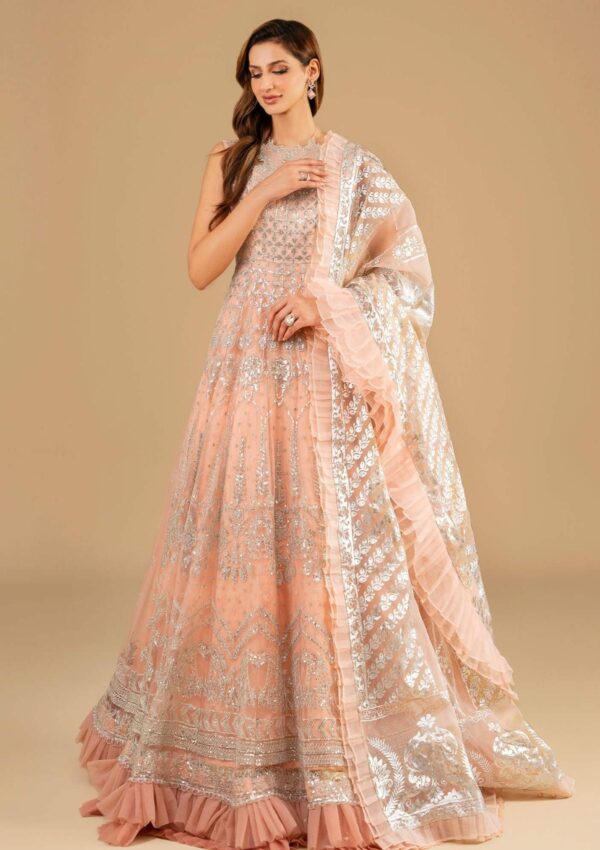 Asifa &Amp; Nabeel Festive Anb 6 Formal Collection