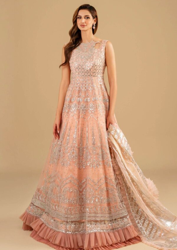 Asifa &Amp; Nabeel Festive Anb 6 Formal Collection