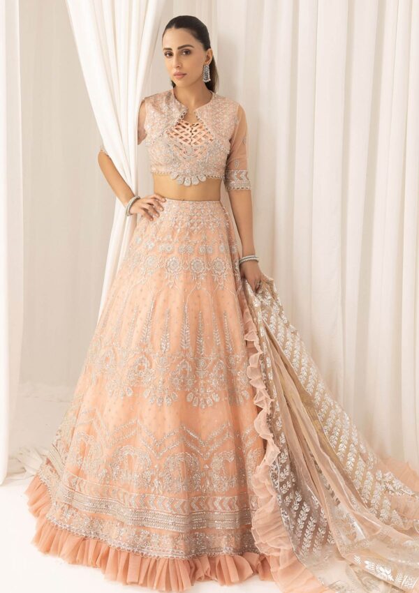 Asifa &Amp; Nabeel Festive Anb 6 Formal Collection