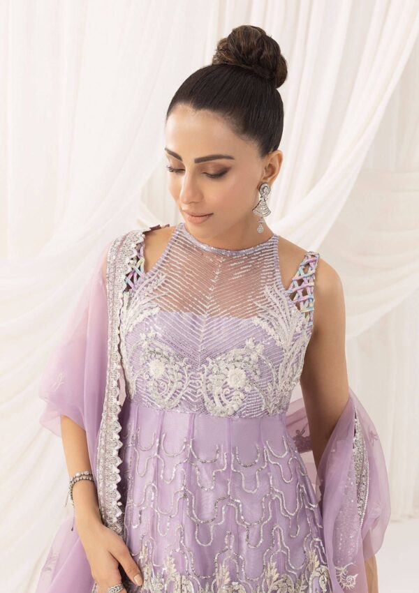 Asifa &Amp; Nabeel Festive Anb 9 Formal Collection