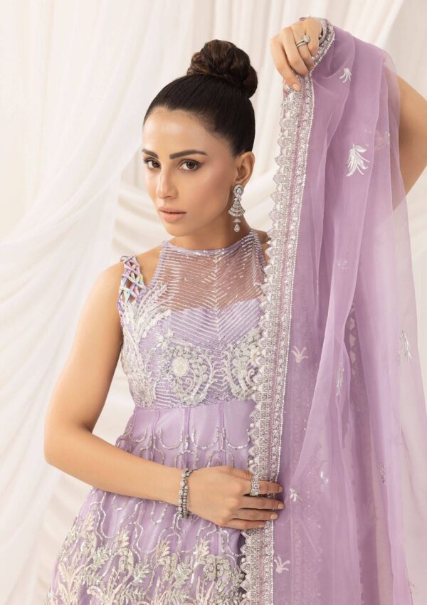 Asifa &Amp; Nabeel Festive Anb 9 Formal Collection