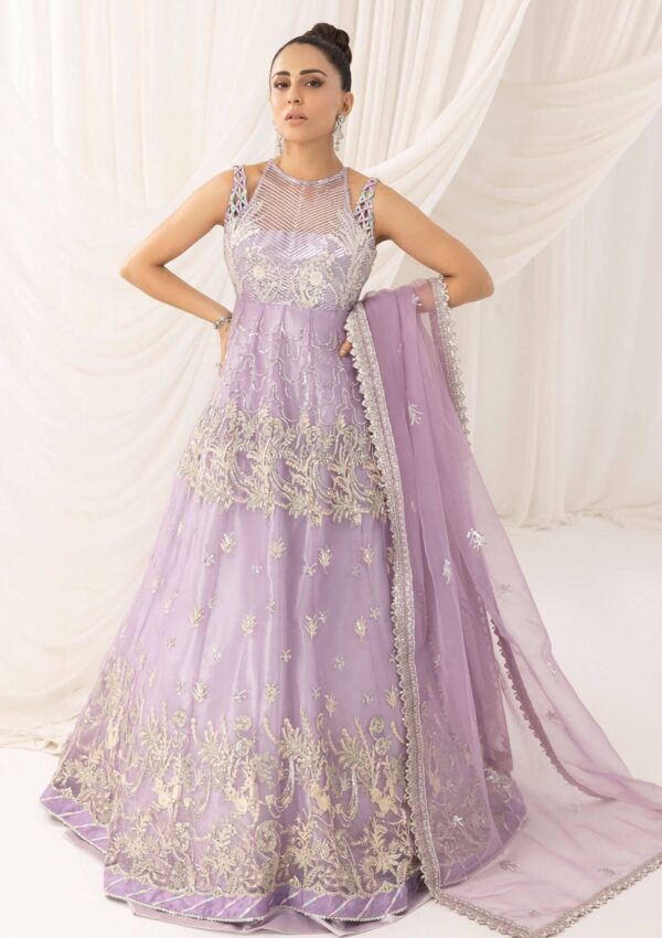 Asifa &Amp; Nabeel Festive Anb 9 Formal Collection