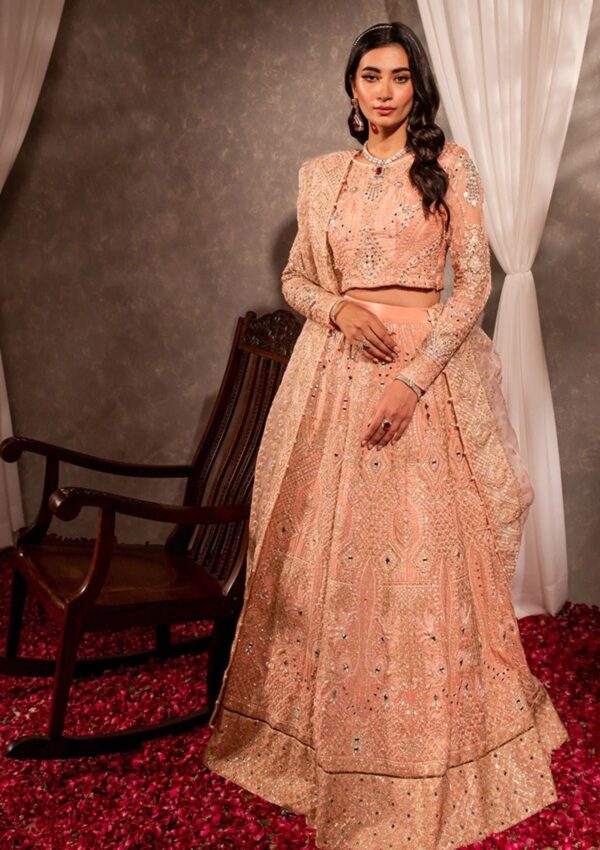 Maria Osama Khan Ds 04 Roshan Formal Collection