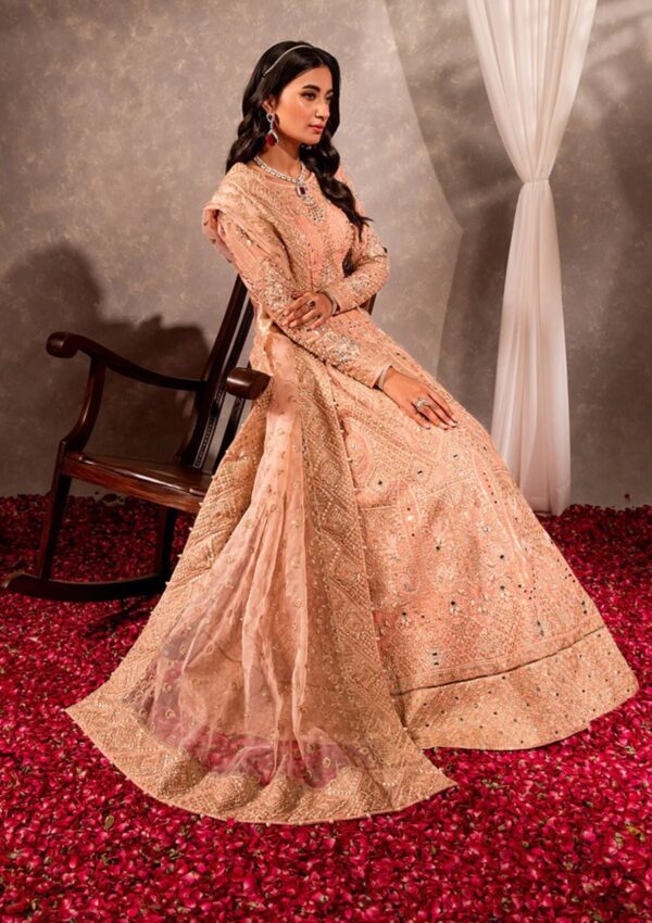 Maria Osama Khan Ds 04 Roshan Formal Collection