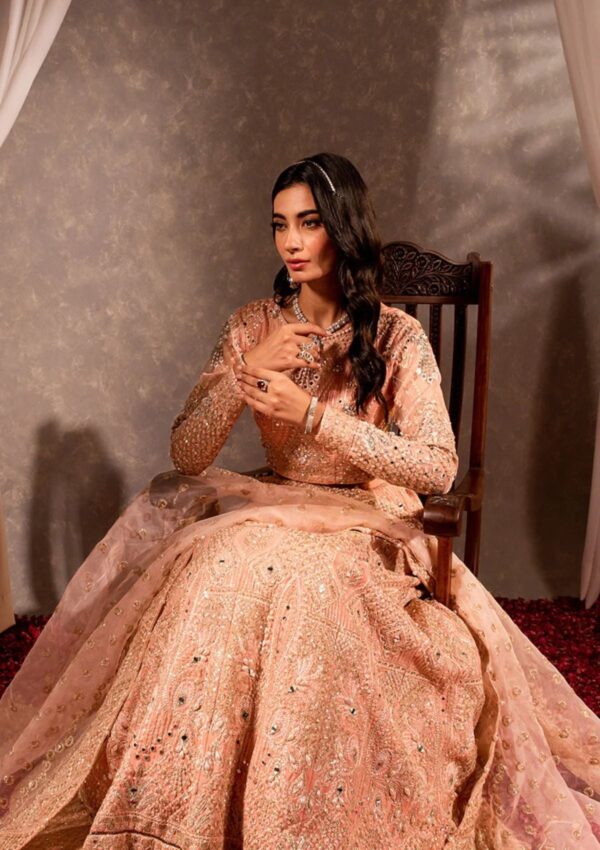 Maria Osama Khan Ds 04 Roshan Formal Collection