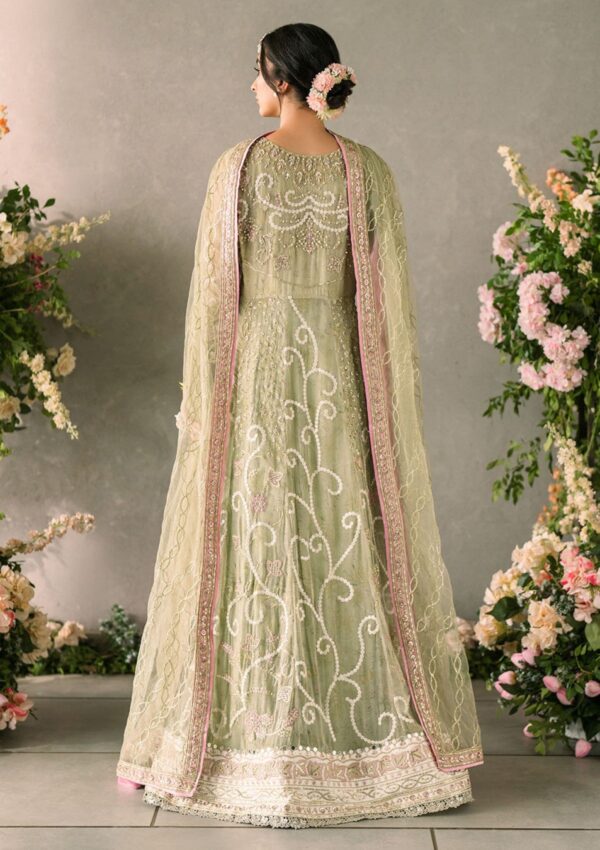 Mushq Mm24 10 Namar Formal Collection