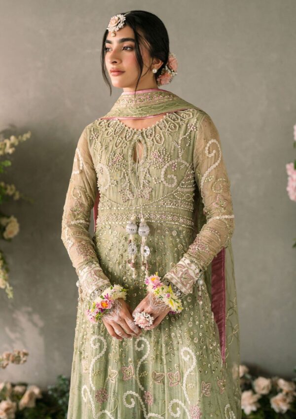 Mushq Mm24 10 Namar Formal Collection