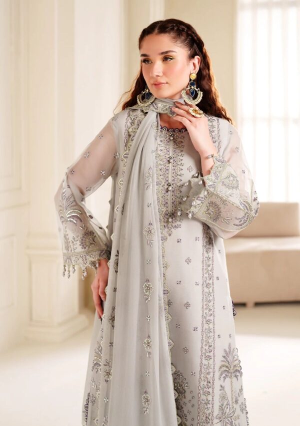 Alizeh Chiffon Adc24 3030 Formal Collection