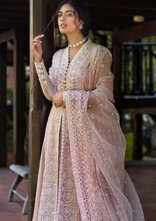 Mushq Mr24 104 Anika Formal Collection