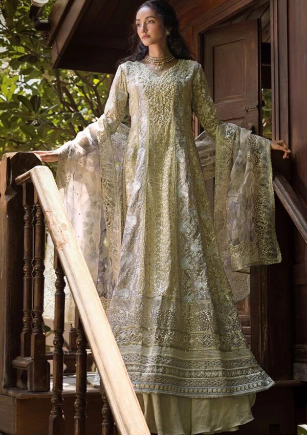 Mushq Mr24 108 Riya Formal Collection