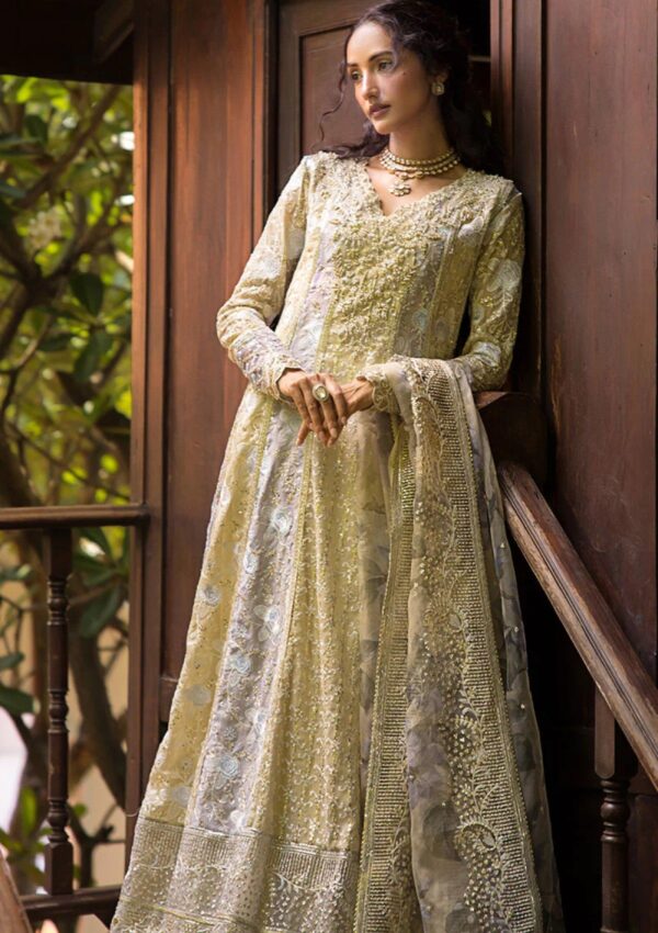 Mushq Mr24 108 Riya Formal Collection