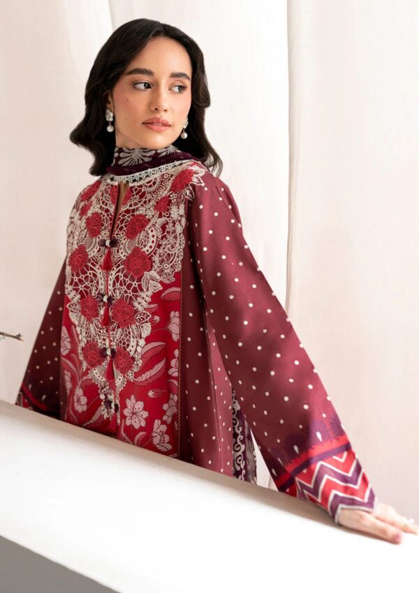 Roheenaz Rs24 01 B Nova Winter Collection