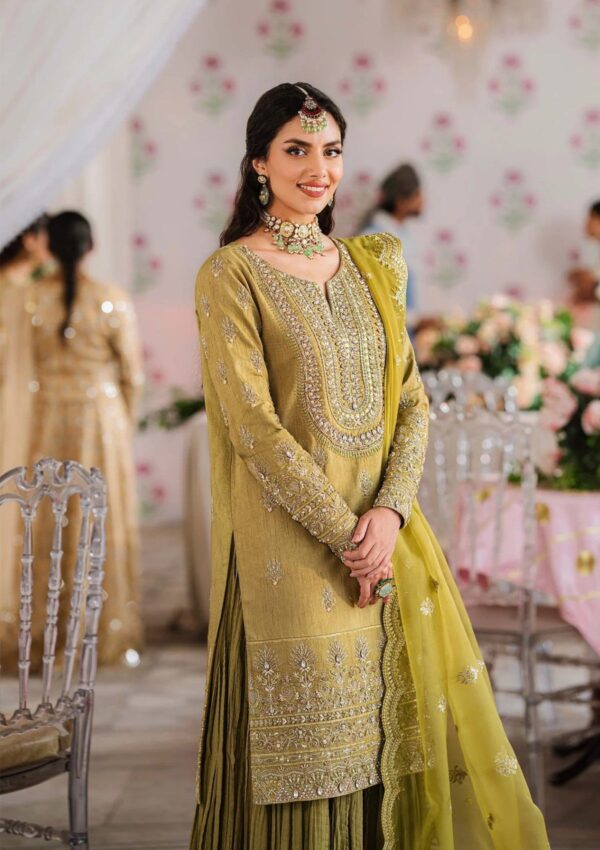 Akbar Aslam Aas24 1506 Meharzad Formal Collection