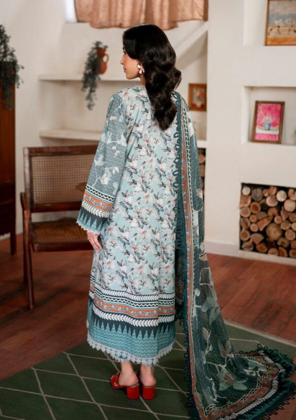 Roheenaz Rs24 08 B Aurora Winter Collection