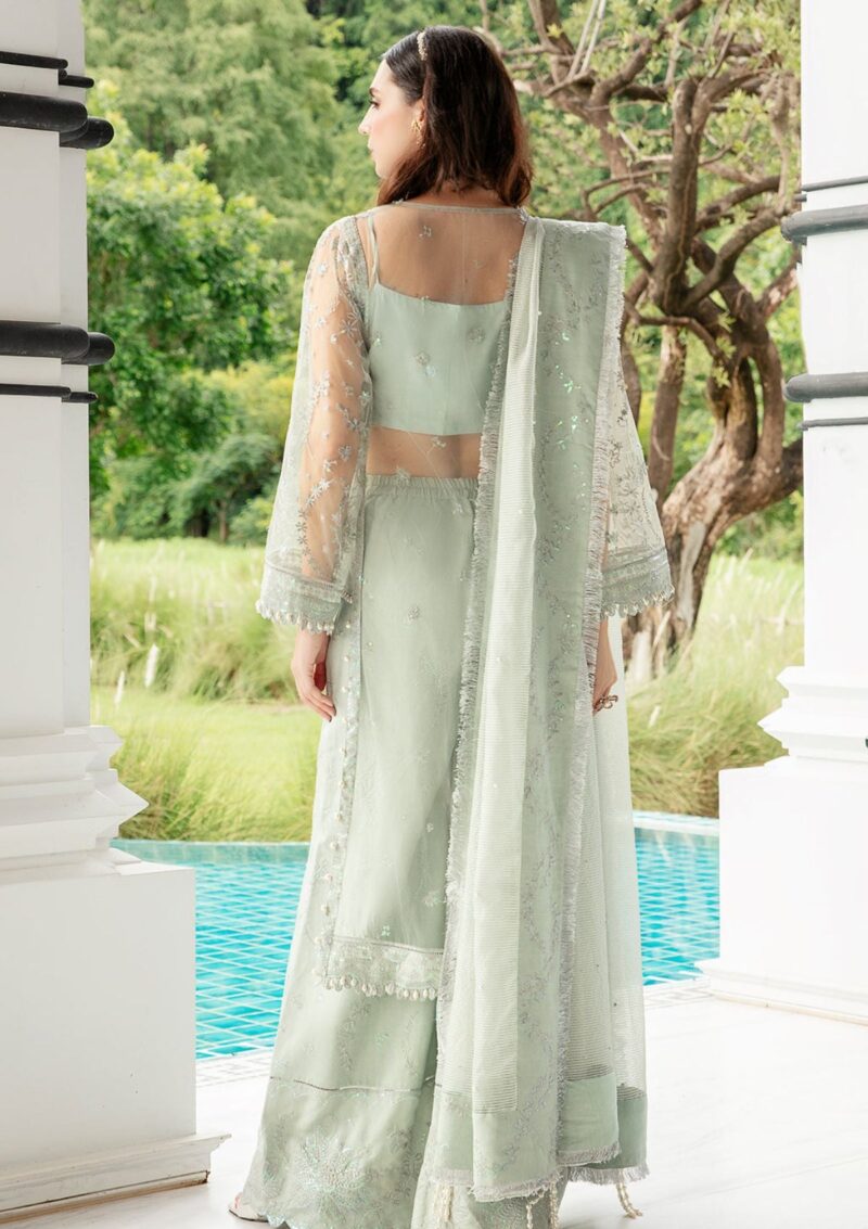 Saad Shaikh Ela Formal Collection