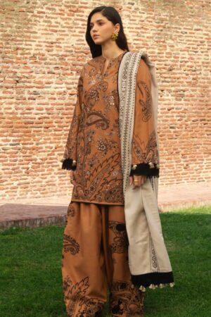 Zara Shahjahan D 06 Winter Collection