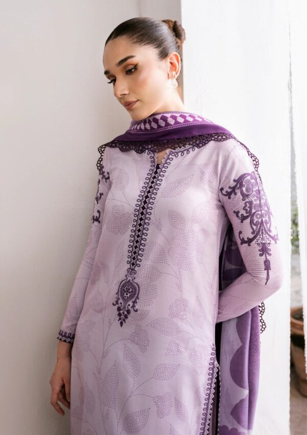 Bin Ilyas Bnv24 73 A Winter Collection