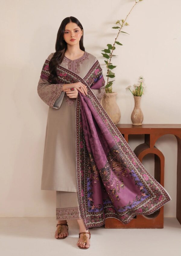 Garnet Clothing Silhouette Shahmina Pret Collection Winter Collection