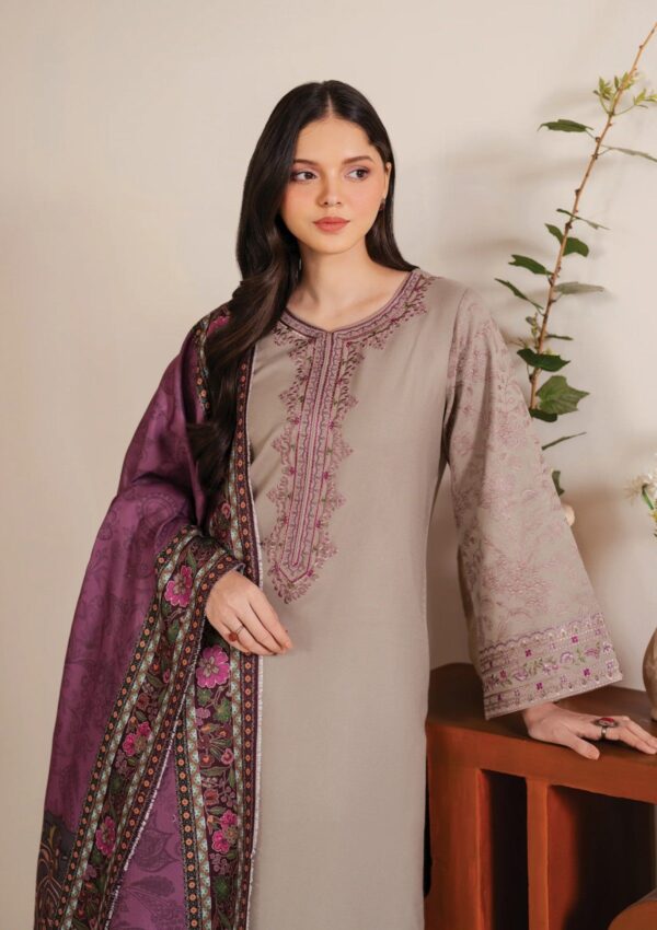 Garnet Clothing Silhouette Shahmina Pret Collection Winter Collection