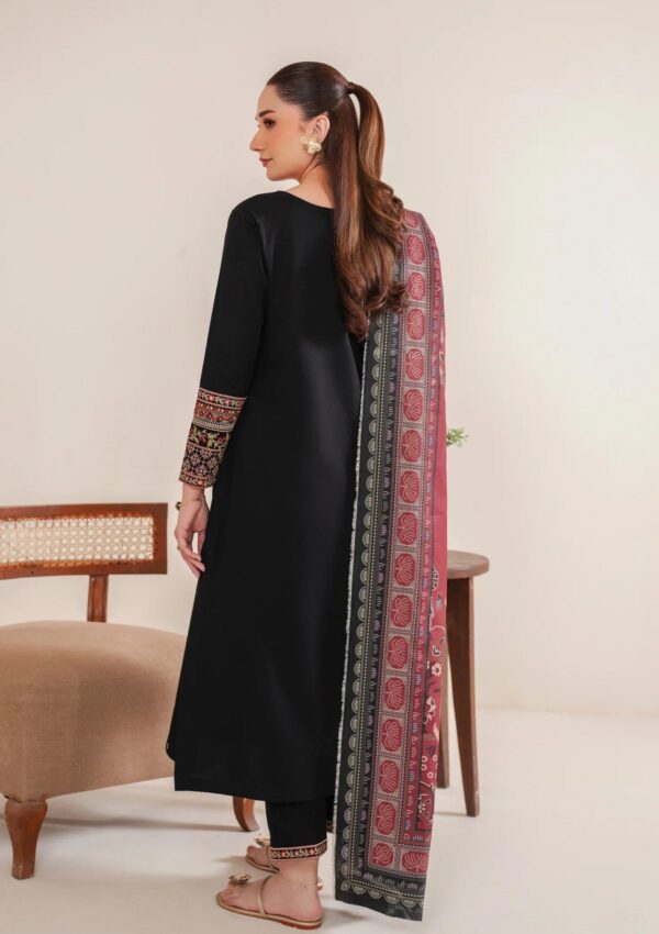 Garnet Clothing Silhouette Bakhtawar Pret Collection Winter Collection