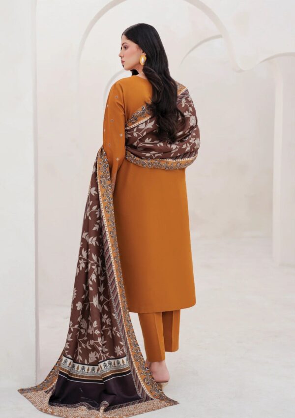 Garnet Clothing Silhouette Humsha Pret Collection Winter Collection