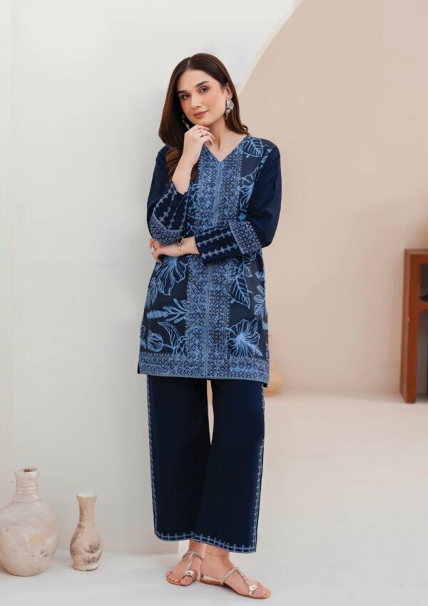 Garnet Clothing Silhouette Momal Pret Collection Winter Collection