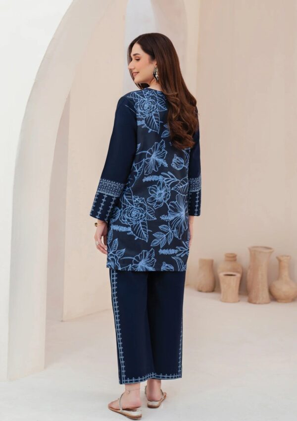 Garnet Clothing Silhouette Momal Pret Collection Winter Collection