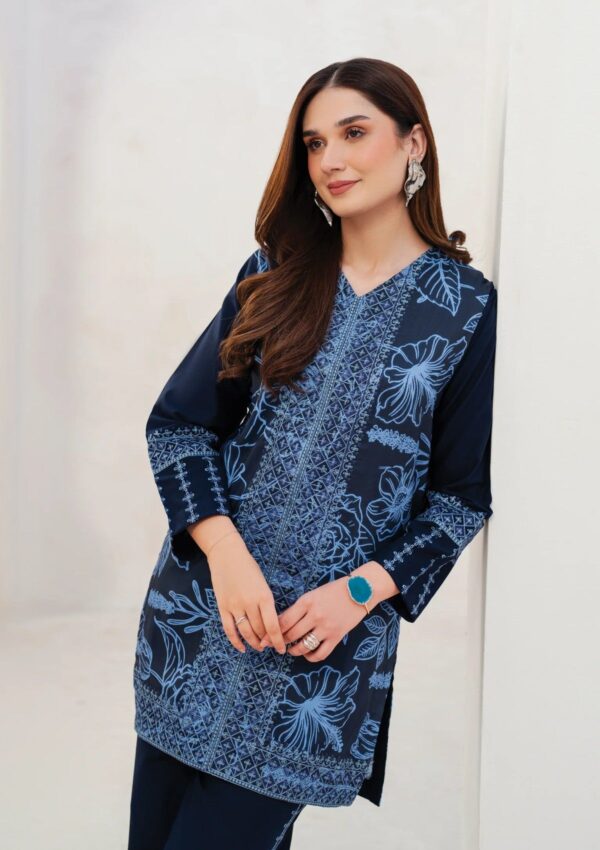 Garnet Clothing Silhouette Momal Pret Collection Winter Collection