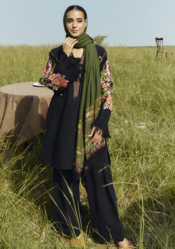 Zara Shahjahan Coco Czw 6a Unstitched Winter Collection