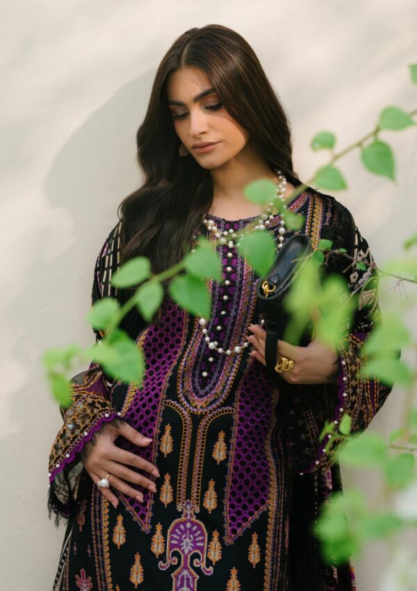 Bin Ilyas Maya Jahan D 766 B Winter Collection