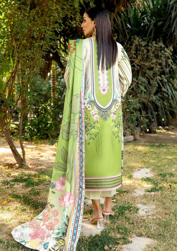 Bin Ilyas Gulabi Baagh Bi Gb 156B Winter Collection