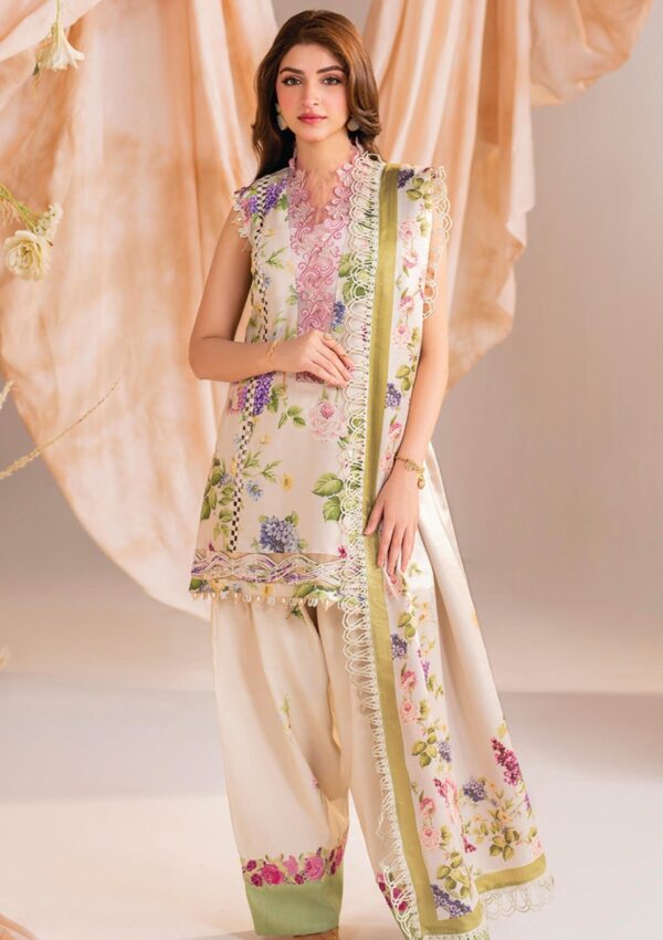 Asifa &Amp; Nabeel Am 01 Aura Meraki Volume 15 Winter Collection