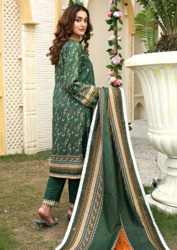 Bin Rashid Aina Ba 06 Winter Collection