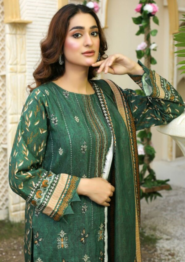 Bin Rashid Aina Ba 06 Winter Collection