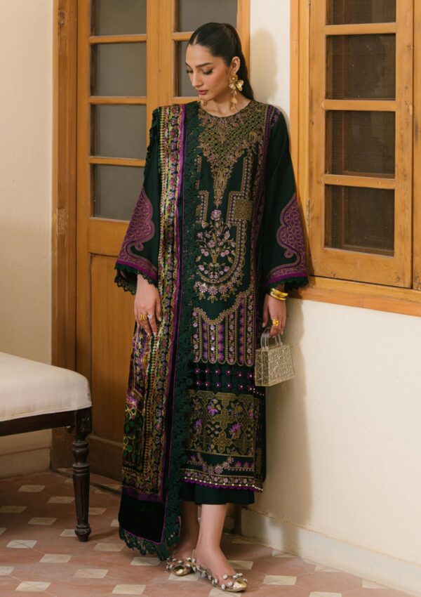 Bin Ilyas Maya Jahan D 764 A Winter Collection